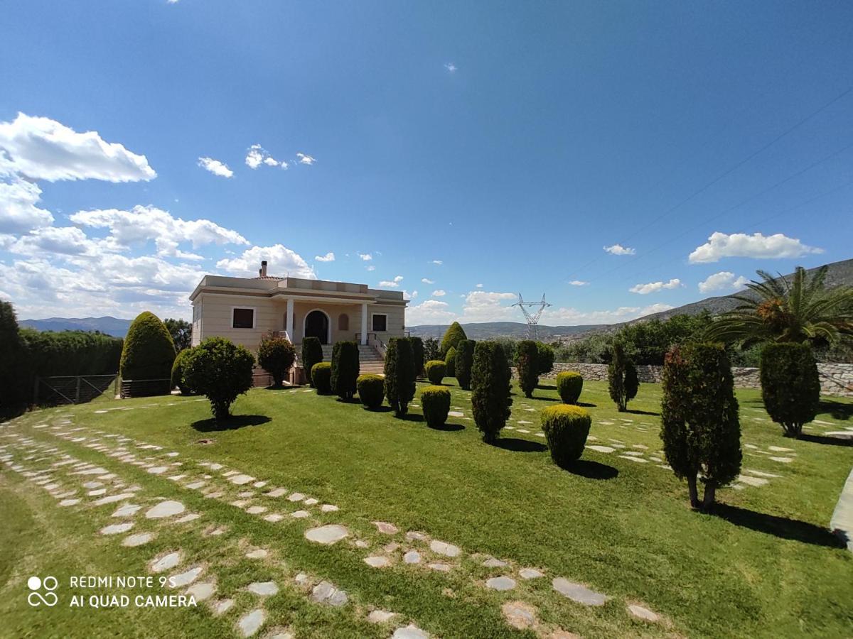 Villa Luxury Thea