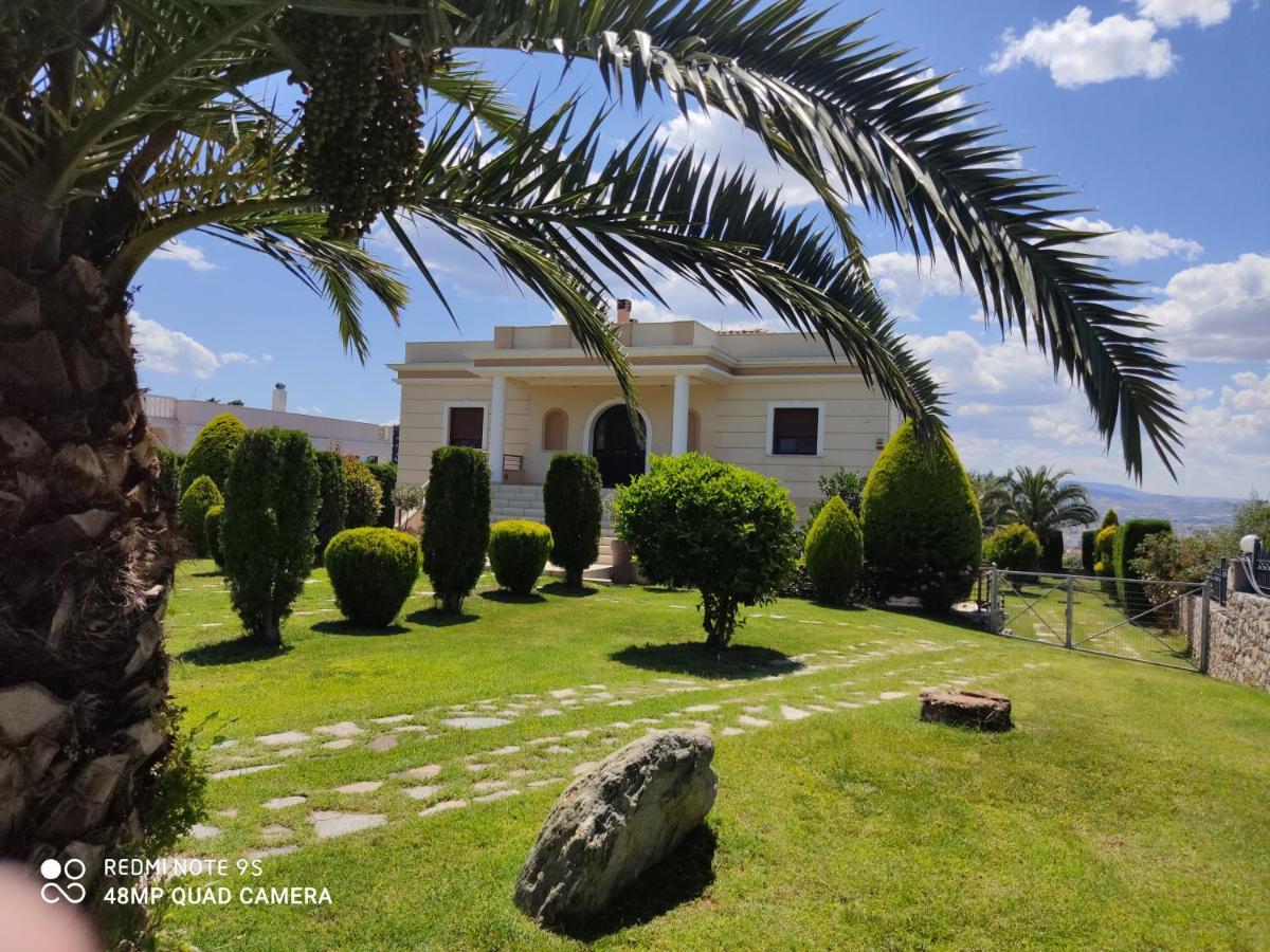 Luxury Thea Volos