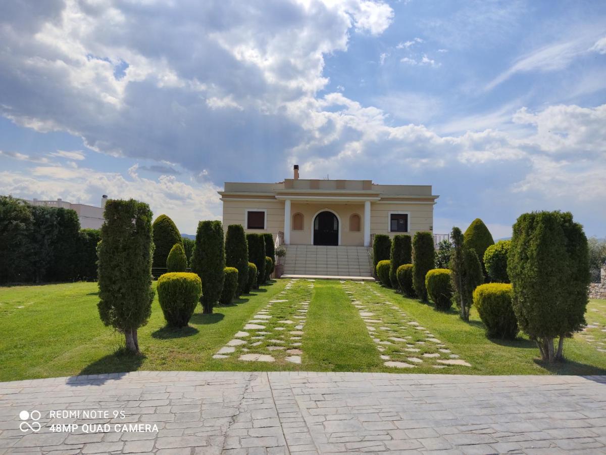 Villa Luxury Thea *